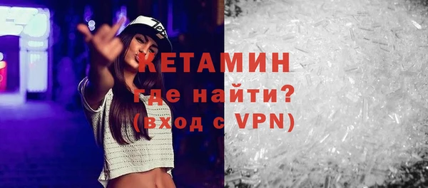 гидра Инта