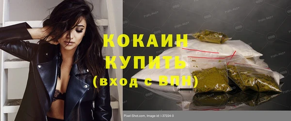гидра Инта