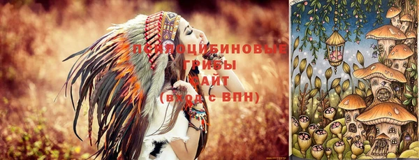 синтетический гашиш Каменск-Шахтинский
