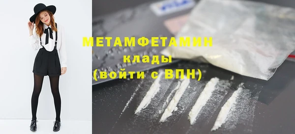 гидра Инта