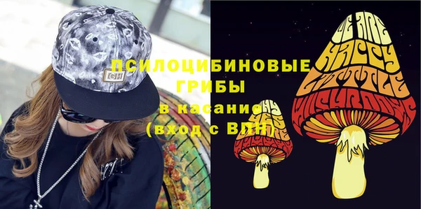 гидра Инта