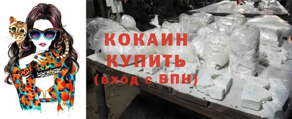 гидра Инта