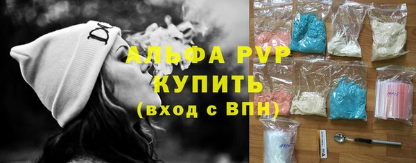 гидра Инта
